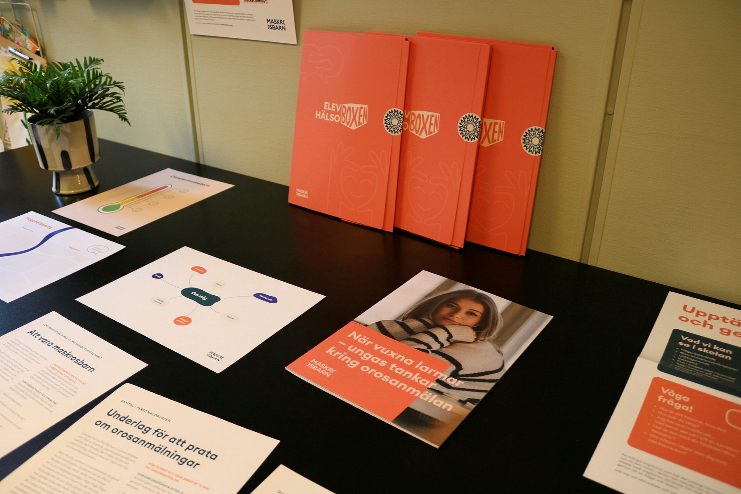 elevhälsoboxen innehåll