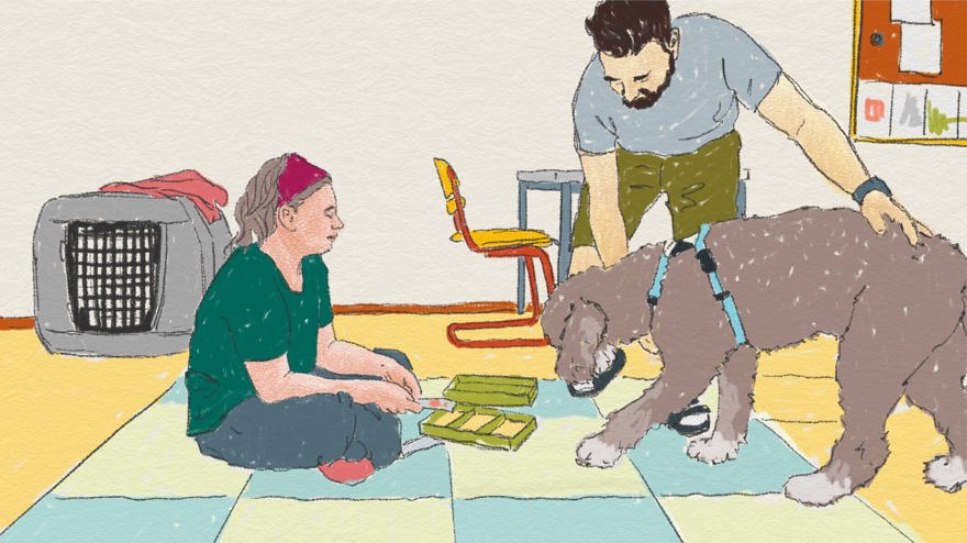 Två personer och en hund
