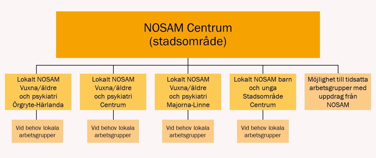 Samverkansstruktur NOSAM Centrum