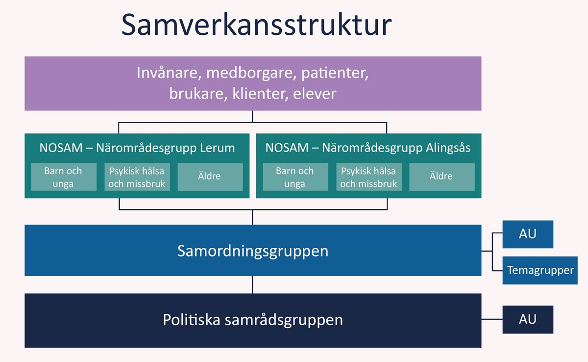 Samverkansstruktur SAMLA